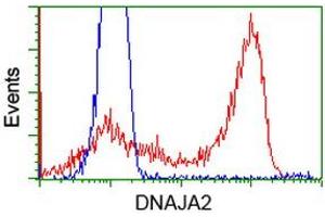 HEK293T cells transfected with either RC202204 overexpress plasmid (Red) or empty vector control plasmid (Blue) were immunostained by anti-DNAJA2 antibody (ABIN2452948), and then analyzed by flow cytometry. (DNAJA2 antibody)