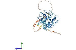 Protein Structure (PS) image for Zinc Finger Protein 26 (ZNF26) (AA 1-533) protein (His tag) (ABIN7545833)