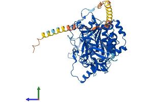 AlphaFold protein structure predicition of Human Recombinant GALNT6 Protein, UniprotID Q8NCL4 (GALNT6 Protein (AA 1-622) (His tag))