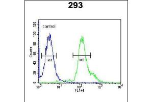 Flow cytometric analysis of 293 cells (right histogram) compared to a negative control cell (left histogram). (RSPO2 antibody  (C-Term))
