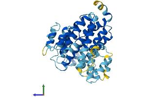 Protein Structure (PS) image for ATPase, H+ Transporting, Lysosomal 38kDa, V0 Subunit D2 (ATP6V0D2) (AA 1-350) protein (His tag) (ABIN7544998)