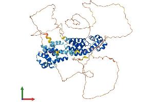 AlphaFold protein structure predicition of Human Recombinant SAMD4A Protein, UniprotID Q9UPU9
