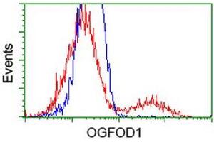 HEK293T cells transfected with either RC206839 overexpress plasmid (Red) or empty vector control plasmid (Blue) were immunostained by anti-OGFOD1 antibody (ABIN2454192), and then analyzed by flow cytometry. (OGFOD1 antibody)