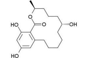 Antigen structure: Zeranol (ZEN) (Zeranol antibody)