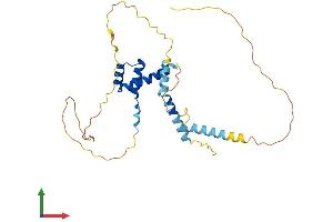 Protein Structure (PS) image for BARX Homeobox 2 (BARX2) (AA 1-283) protein (His tag) (ABIN7562190)