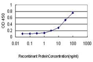 Detection limit for recombinant GST tagged NLGN4Y is approximately 0. (Neuroligin Y antibody  (AA 1-134))