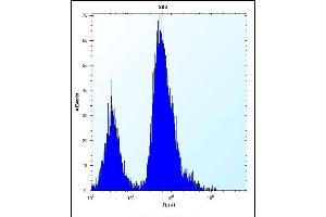 EIF4EBP1 Antibody (Center) (ABIN656558 and ABIN2845820) flow cytometric analysis of 293 cells (right histogram) compared to a negative control cell (left histogram). (eIF4EBP1 antibody  (AA 31-61))