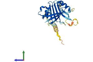 AlphaFold protein structure predicition of Human Recombinant ITM2A Protein, UniprotID O43736