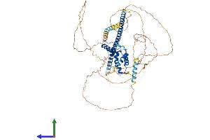 AlphaFold protein structure predicition of Mouse Recombinant Sox13 Protein, UniprotID Q04891 (SOX13 Protein (AA 1-613) (His tag))