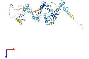 AlphaFold protein structure predicition of Human Recombinant ZNF626 Protein, UniprotID Q68DY1