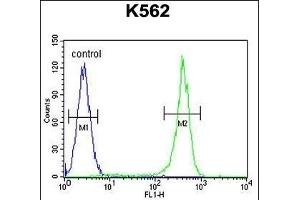 CRFR2 Antibody (D35) (ABIN655389 and ABIN2844937) flow cytometric analysis of K562 cells (right histogram) compared to a negative control cell (left histogram). (CRHR2 antibody  (AA 10-39))