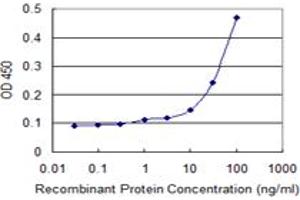 Detection limit for recombinant GST tagged SSH1 is 3 ng/ml as a capture antibody. (SSH1 antibody  (AA 752-849))