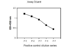 Image no. 2 for PTK2B Protein tyrosine Kinase 2 beta (PTK2B) ELISA Kit (ABIN1981808) (PTK2B ELISA Kit)