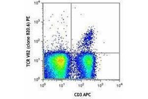 Flow Cytometry (FACS) image for anti-TCR V beta 2 antibody (PE) (ABIN2663915) (TCR V beta 2 antibody (PE))
