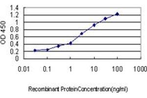 Image no. 1 for anti-Regulator of G-Protein Signaling 2 (RGS2) (AA 111-211) antibody (ABIN465968) (RGS2 antibody  (AA 111-211))