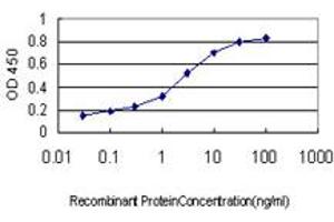 Detection limit for recombinant GST tagged PCDHGA1 is approximately 0. (PCDHGA1 antibody  (AA 241-340))