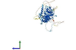 AlphaFold protein structure predicition of Mouse Recombinant Dnai1 Protein, UniprotID Q8C0M8 (DNAI1 Protein (AA 1-701) (His tag))