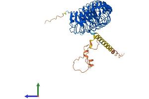 AlphaFold protein structure predicition of Human Recombinant LRRC1 Protein, UniprotID Q9BTT6 (LRRC1 Protein (AA 1-524) (His tag))