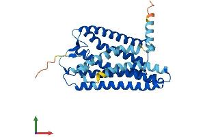 AlphaFold protein structure predicition of Human Recombinant OR5M10 Protein, UniprotID Q6IEU7 (OR5M10 Protein (AA 1-315) (His tag))