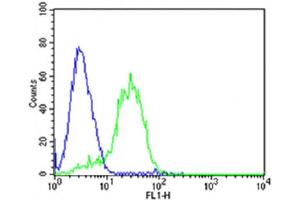 Flow cytometric analysis of HepG2 cells using DLK1 Antibody (C-term)(green, Cat(ABIN6243159 and ABIN6577727)) compared to an isotype control of mouse IgG2b(blue). (DLK1 antibody  (C-Term))