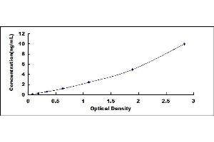 Typical standard curve (WNT3A ELISA Kit)