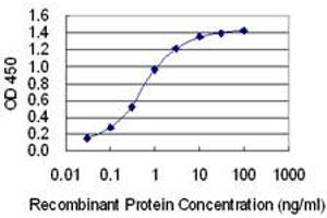 Detection limit for recombinant GST tagged TOPBP1 is 0. (TOPBP1 antibody  (AA 1327-1435))