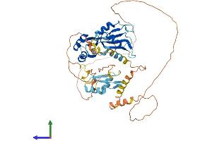 AlphaFold protein structure predicition of Mouse Recombinant Celf4 Protein, UniprotID Q7TSY6 (CELF4 Protein (AA 1-486) (His tag))