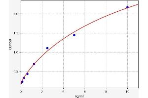 Typical standard curve (PPIL5 ELISA Kit)