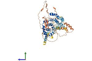 AlphaFold protein structure predicition of Human Recombinant TBC1D3G Protein, UniprotID Q6DHY5 (TBC1D3G Protein (AA 1-549) (His tag))
