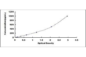 Typical standard curve (IL-8 ELISA Kit)