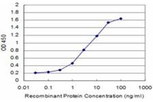 Detection limit for recombinant GST tagged CDH11 is approximately 0. (OB Cadherin antibody  (AA 509-617))