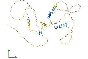 Protein Structure (PS) image for Apoptosis, Caspase Activation Inhibitor (AVEN) (AA 1-342) protein (His tag) (ABIN7561173)