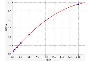 TARDBP ELISA Kit