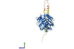 AlphaFold protein structure predicition of Human Recombinant RSAD2 Protein, UniprotID Q8WXG1