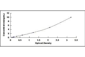 Carcinoembryonic Antigen Gene Family (CEA) ELISA Kit