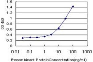 Detection limit for recombinant GST tagged NNMT is approximately 1ng/ml as a capture antibody. (NNMT antibody  (AA 1-264))