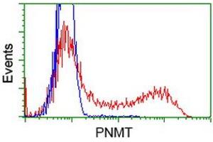Flow Cytometry (FACS) image for anti-Phenylethanolamine N-Methyltransferase (PNMT) antibody (ABIN1500310)