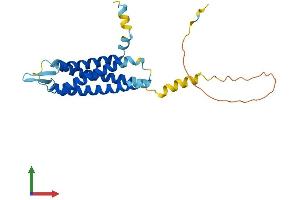 AlphaFold protein structure predicition of Human Recombinant SYNGR4 Protein, UniprotID O95473