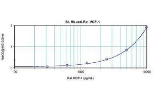 Image no. 1 for anti-Chemokine (C-C Motif) Ligand 2 (CCL2) antibody (Biotin) (ABIN465762) (CCL2 antibody  (Biotin))
