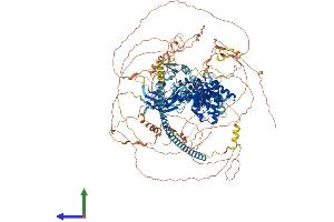 Protein Structure (PS) image for Synaptic Ras GTPase Activating Protein 1 (SYNGAP1) (AA 1-1343) protein (His tag) (ABIN7555671)