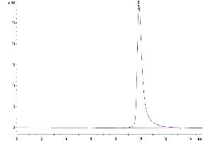 The purity of Cynomolgus B2M is greater than 95 % as determined by SEC-HPLC. (beta-2 Microglobulin Protein (AA 21-119) (His tag))