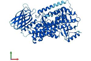 Protein Structure (PS) image for Arachidonate 12-Lipoxygenase (ALOX12) (AA 1-663) protein (His tag) (ABIN7563209)