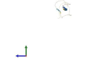 Protein Structure (PS) image for Taxilin alpha (TXLNA) (AA 1-546) protein (His tag) (ABIN7544939)