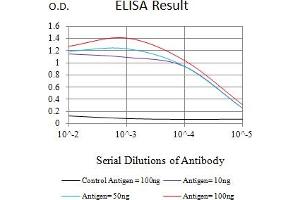 Black line: Control Antigen (100 ng),Purple line: Antigen (10 ng), Blue line: Antigen (50 ng), Red line:Antigen (100 ng) (PRAS40 antibody  (AA 92-276))