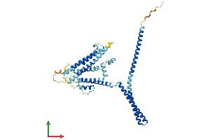 AlphaFold protein structure predicition of Human Recombinant KCNN4 Protein, UniprotID O15554