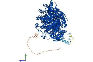 AlphaFold protein structure predicition of Human Recombinant ERAP2 Protein, UniprotID Q6P179