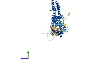 AlphaFold protein structure predicition of Human Recombinant KCNA7 Protein, UniprotID Q96RP8 (KCNA7 Protein (AA 1-456) (His tag))