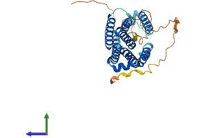 Protein Structure (PS) image for Fas Apoptotic Inhibitory Molecule 2 (FAIM2) (AA 1-316) protein (His tag) (ABIN7549039)