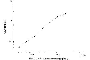 Typical standard curve (Cyclin E1 ELISA Kit)