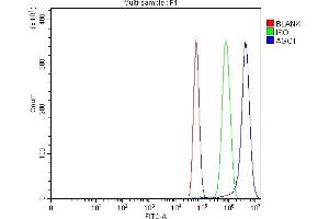 Flow Cytometry analysis of U87 cells using anti-AGO1 antibody (ABIN7602627). (AGO1 antibody  (AA 9-405))